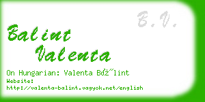 balint valenta business card